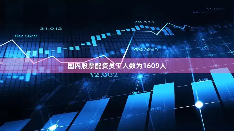 国内股票配资员工人数为1609人