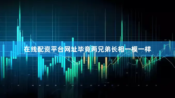 在线配资平台网址毕竟两兄弟长相一模一样