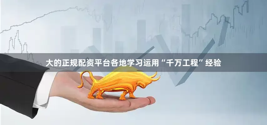 大的正规配资平台各地学习运用“千万工程”经验
